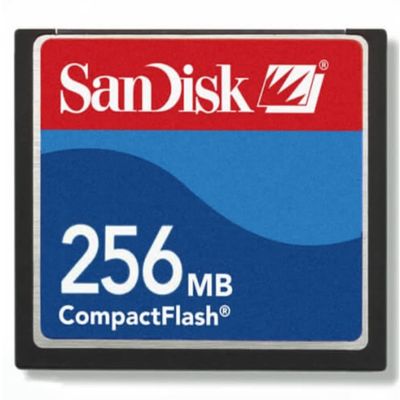 256MB Sandisk 24x CompactFlash Card Standard Grade