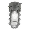 HALO VT100G 100W Vapor Tight Light, Gray view 1