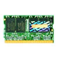 256MB DDR333 Micro DIMM 172pin