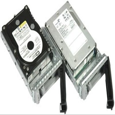 Adaptec S50/SNAP Server Disk 750GB 7.2 RPM Sata II