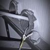 BGS 1990 | Lead Perlon Cable | 15 m x 3 mm view 2