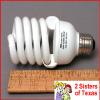 DOT LINE FLUORESCENT SPIRAL BULB COLOR TEMP 5200K, 28W/120 VOLT view 2
