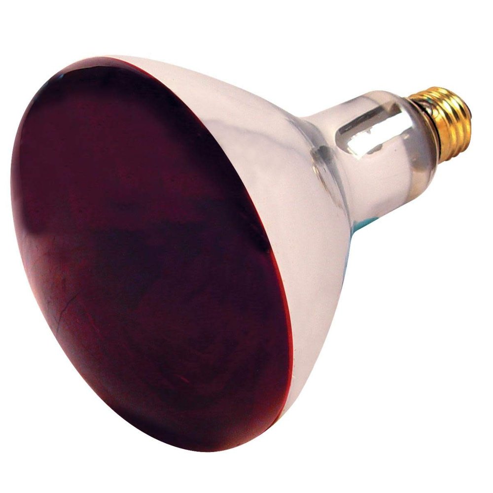 Westinghouse Satco S4998 Medium Light Bulb in Bronze/Dark Finish, 6.50 inches, Unknown, Red Heat