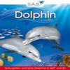 Digifish Dolphin (DVD-Verp.) view 2