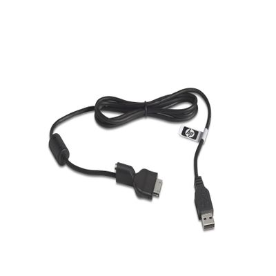 200 Series-SYNC/Charge CBL