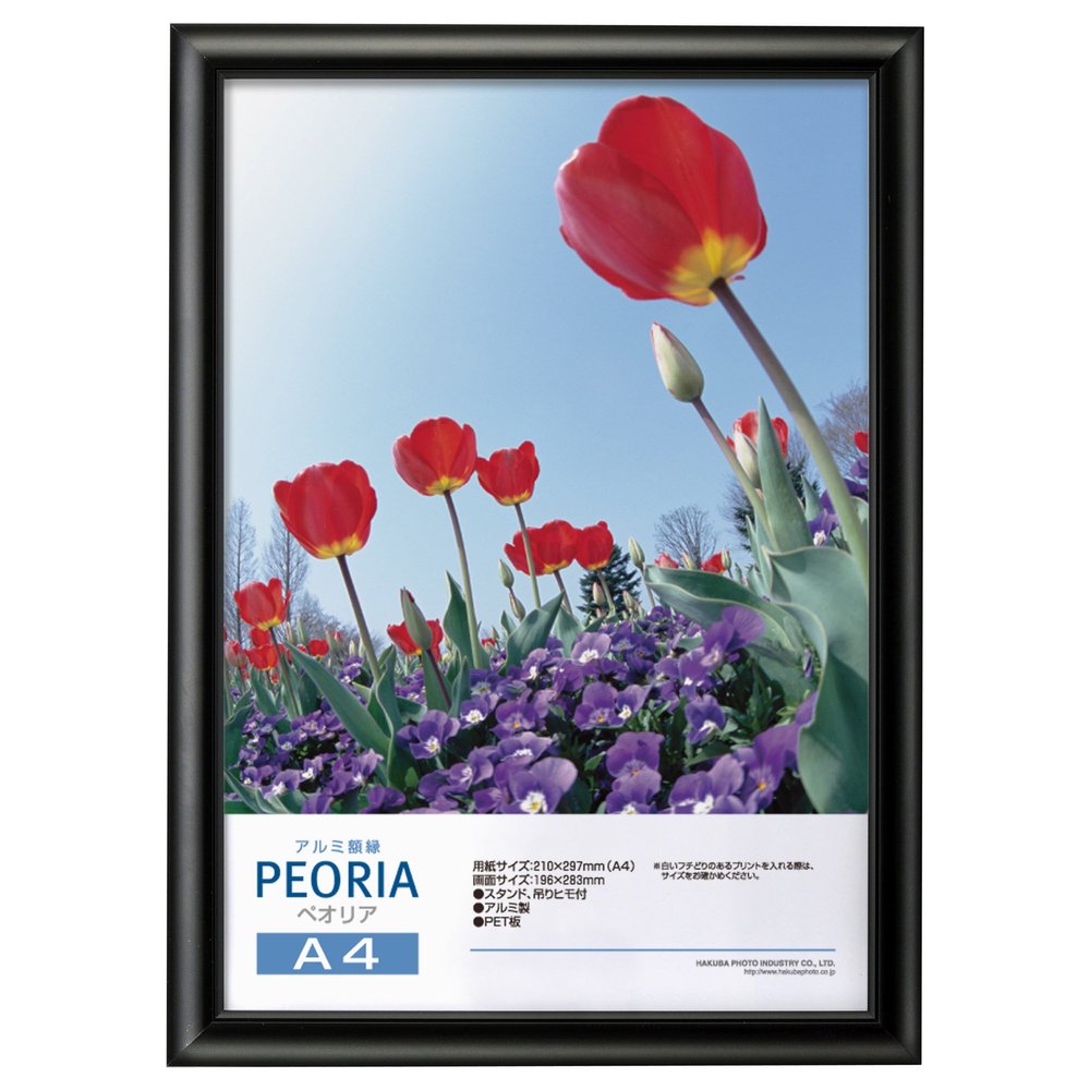 Hakuba FAPE-BKA4 Aluminum Picture Frame, Peoria, A4 Size, Black, A4, 1 Side, Aluminum
