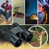 Bushnell 10 x 42 Powerview Roof Prism Binocular view 3
