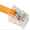 10ft Cat 5E Non-Booted Unshielded (UTP) Ethernet Network Cable - Orange view 2