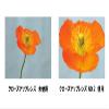 Kenko Camera Effect Lens Filter AC Close-Up Lens No.2 55mm, for Macro Shooting, Achromat Lens, Multi Coated, 355923 view 3