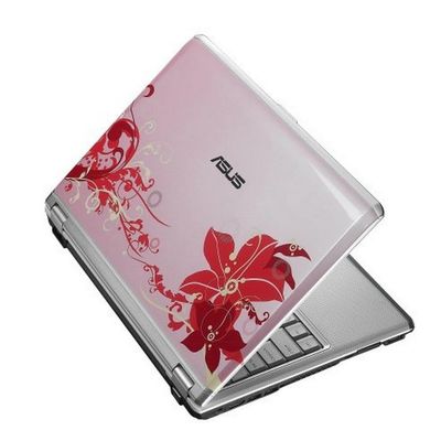Asus F6V-C1-Pink 13.3-Inch Laptop (2.26 GHz Intel Core 2 Duo P8400 Processor, 4 GB RAM, 320 GB Hard Drive, Vista Premium) Pink