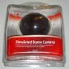 Simulated Dome Camera view 1