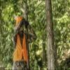 Hunters Specialties Adult Mesh Safety Vest - Blaze Orange High Visibility Mesh Breathable Vest for Hunting, One Size Fit All view 4