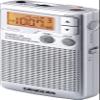 SANGEAN DT-250 PLATA RADIO PORTTIL AM/FM DBB CON ALTAVOZ view 1