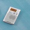 SANGEAN DT-250 PLATA RADIO PORTTIL AM/FM DBB CON ALTAVOZ view 3