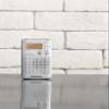 SANGEAN DT-250 PLATA RADIO PORTTIL AM/FM DBB CON ALTAVOZ view 4