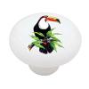 Gotham Decor Toucan Bird Ceramic Drawer Knob view 1