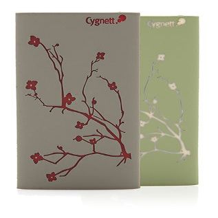 Cygnett GrooveShield DuoTone Blossom Hard Shell Case for iPod nano 4G (Burgundy/Gray)