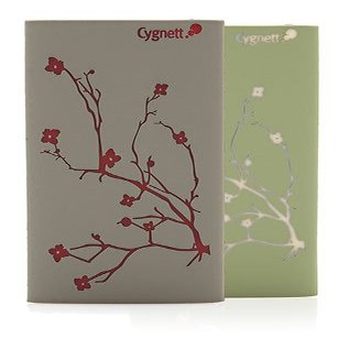 Cygnett GrooveShield DuoTone Blossom Hard Shell Case for iPod nano 4G (Burgundy/Gray)