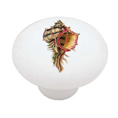 Gotham Decor Red Seashell Ceramic Drawer Knob