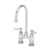 T&S Brass B-0325 Deck Mount Double Pantry Faucet with 4-Inch Centers and Swivel Gooseneck, silver view 1