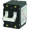 Blue Sea Systems AC/DC Double Pole Magnetic Circuit Breakers 10 AMP AA2 Circuit Breaker White view 1