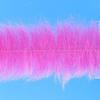 EP Anadromus Brush - Fuchsia, 6-Pack view 1