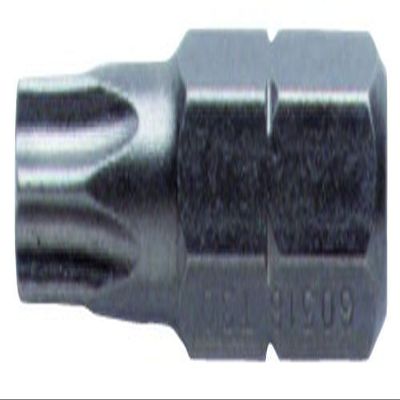 1/4" Torx Hex Insert Bit - T10