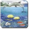Art Plates Dolphin and Fish Mouse Pad view 1
