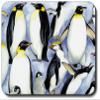 Art Plates Penguins Mouse Pad view 1