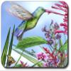 Art Plates Green Hummingbird Mouse Pad view 1