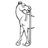Tough 1 Sure Measure Horse and Pony Height/Weight Tape view 2