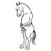 Tough 1 Sure Measure Horse and Pony Height/Weight Tape view 3