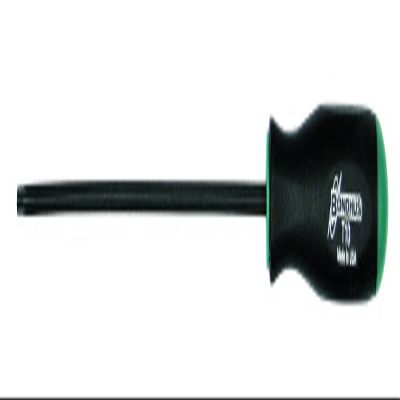 TR10 Tamper Resistant Torx Tip Screwdriver