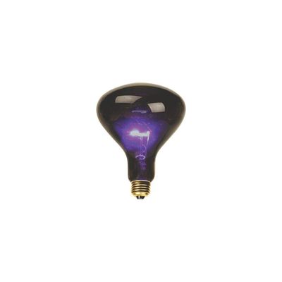 DEEJAYLED 100 Watt Purple Incandescent Light Bulb, Dark Purple Glow for Parties & Clubs, Fits Standard House Fixtures, Great for Entertainment, Holiday & Halloween Dcor