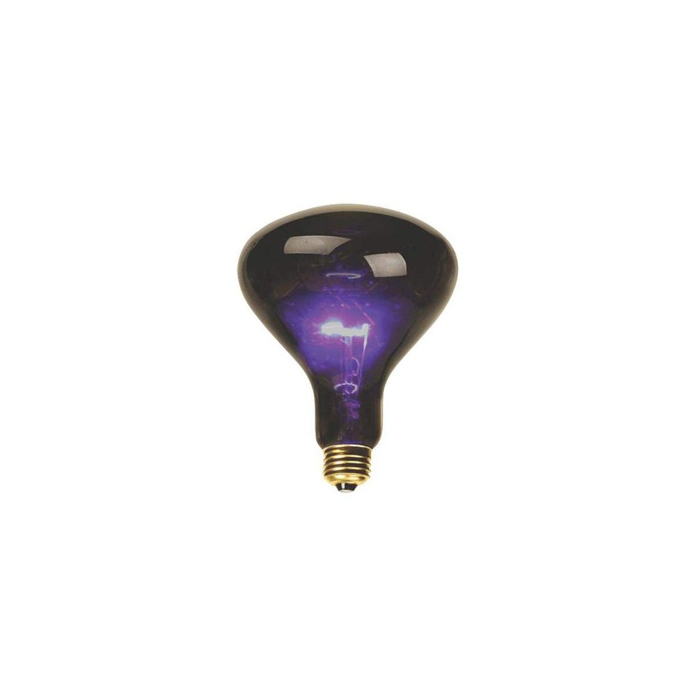 DEEJAYLED 100 Watt Purple Incandescent Light Bulb, Dark Purple Glow for Parties & Clubs, Fits Standard House Fixtures, Great for Entertainment, Holiday & Halloween Dcor
