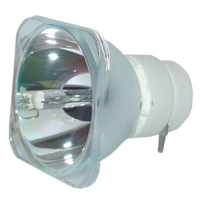 3000 Hours Replacement Lamp IN1503