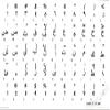 Arabic Transparent with Black Lettering Keyboard Stickers for LAPTOPS Desktop Computers Keyboards view 2