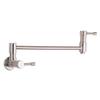 Gerber D205012SS Danze Wall Mount Pot Filler, Stainless Steel view 1