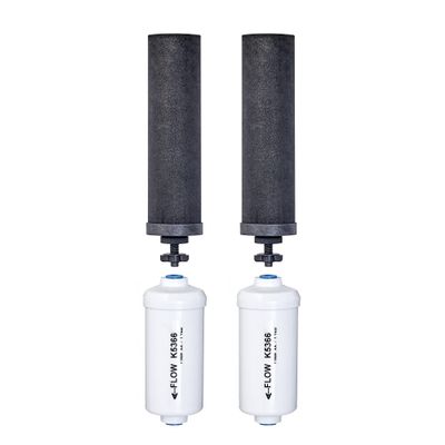 Set of 2 Berkey Authentic Black Berkey Elements (BB9-2) and 2 PF-2 Fluoride Reduction Elements - Combo Pack