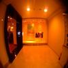 Gizmon Ultra Fisheye2 view 3