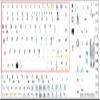 SPANISH LATIN AMERICAN NETBOOK KEYBOARD LABELS LAYOUT WHITE BACKGROUND view 1