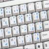 Arabic Keyboard Stickers with Blue Lettering Transparent Background for Desktop, Laptop and Notebook view 4