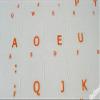 Dvorak Simplified Transparent Keyboard Stickers (Orange) view 3