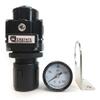 Interstate Pneumatics WR1160G 3/8 Inch Air Regulator - w/Gauge view 1