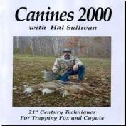 Canines 2000 with Hal Sullivan (DVD)