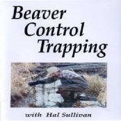 Beaver Control Trapping (DVD)