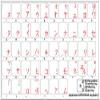 JAPANESE KATAKANA KEYBOARD STICKERS WITH RED LETTERING ON TRANSPARENT BACKGROUND FOR DESKTOP, LAPTOP AND NOTEBOOK view 2