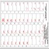 4Keyboard Spanish (Latin American) Keyboard Labels with RED Lettering Transparent Background for Desktop, Laptop and Notebook view 2