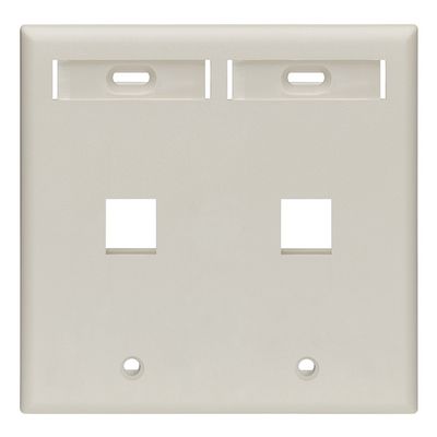 Leviton 2-Port Dual Gang QuickPort Wallplate with ID Windows, 42080-2TP, Light Almond