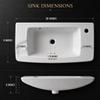Renovators Supply Manufacturing Edgewood 20 in Wall Mounted Bathroom Sink view 2
